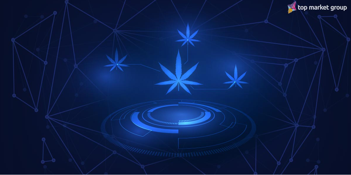 To Track Cannabis Using Blockchain, TruTrace Partners With Deloitte